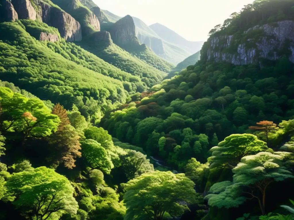 Un bosque exuberante se fusiona con terreno rocoso, destacando la relación entre patrones de vegetación y geología