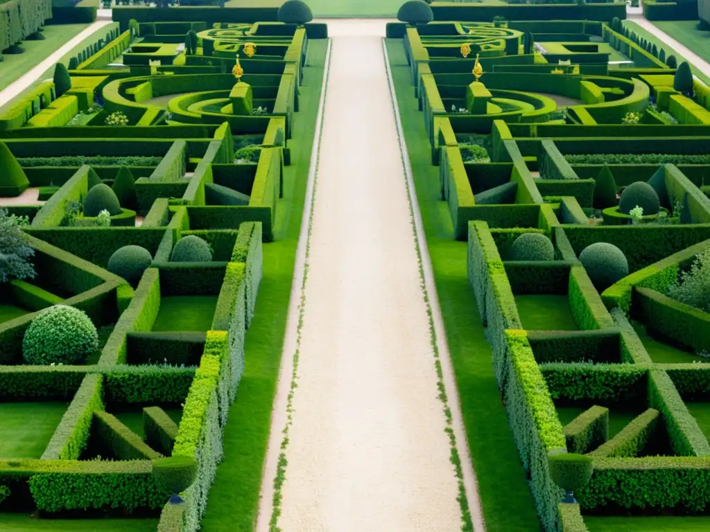 Patrones geométricos en jardines franceses: Fotografía vintage en blanco y negro de los intrincados diseños de los famosos Jardines de Versalles, con hileras de setos y senderos simétricos, juegos de luz y sombra